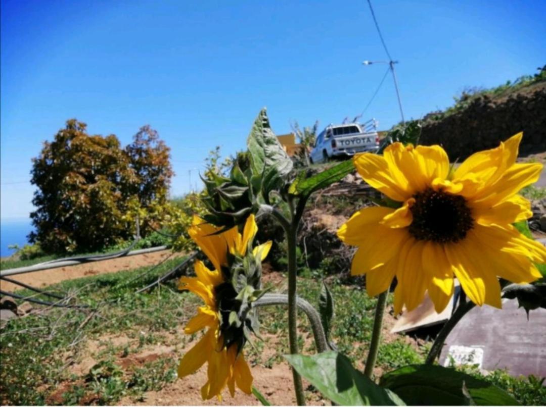 Refugio Secreto De Green Village Fasnia Dış mekan fotoğraf