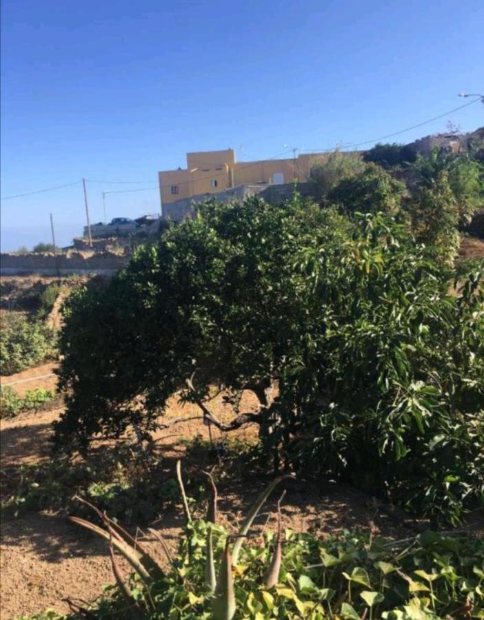 Refugio Secreto De Green Village Fasnia Dış mekan fotoğraf